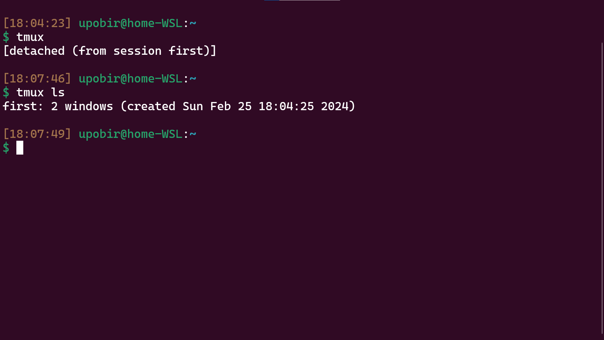 After detaching from your session (zoomed)