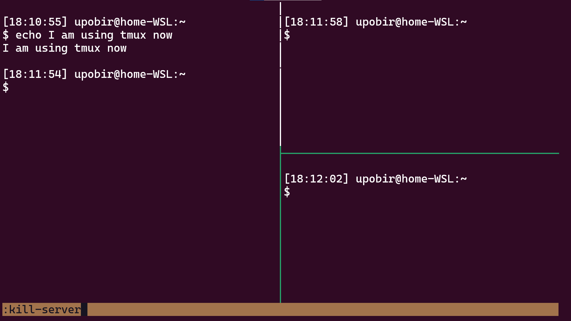 Killing the server (zoomed)