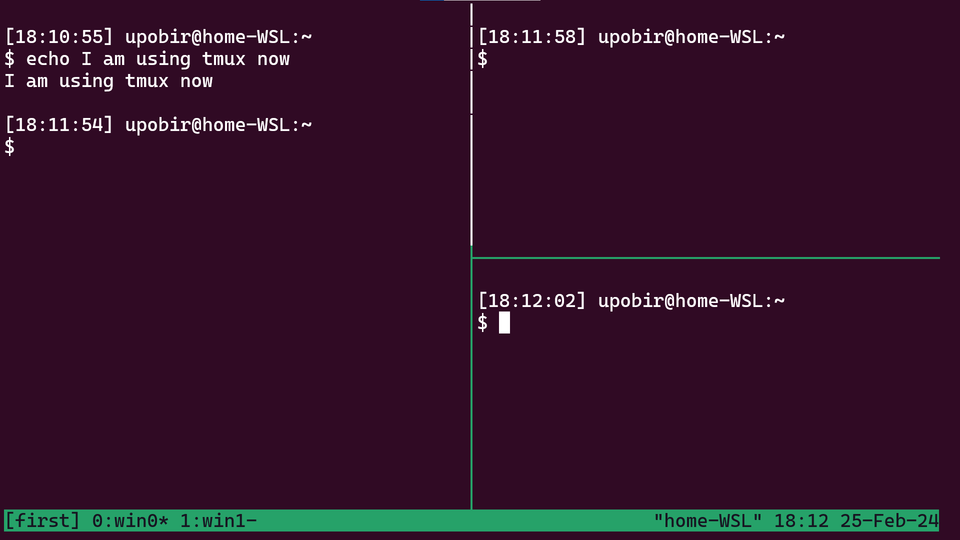 Several panes in the window (zoomed)