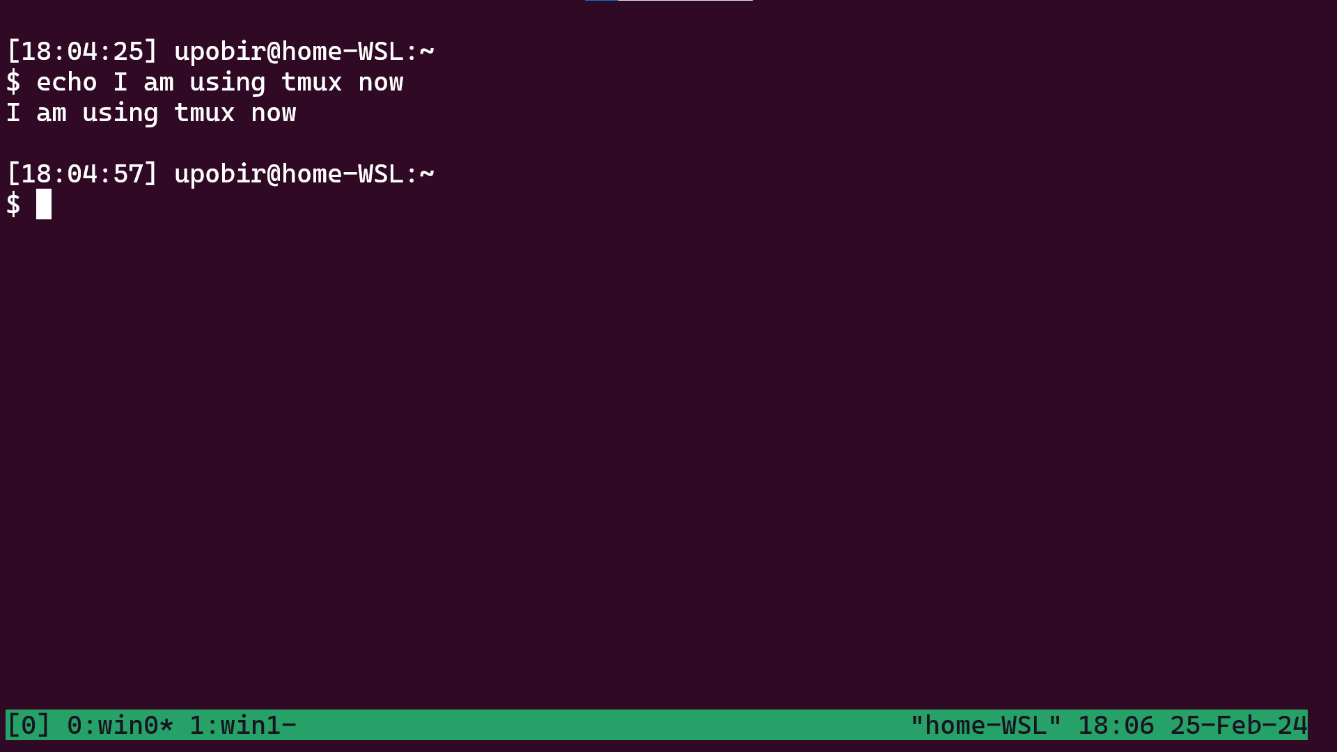 Back at first window after renaming (zoomed)