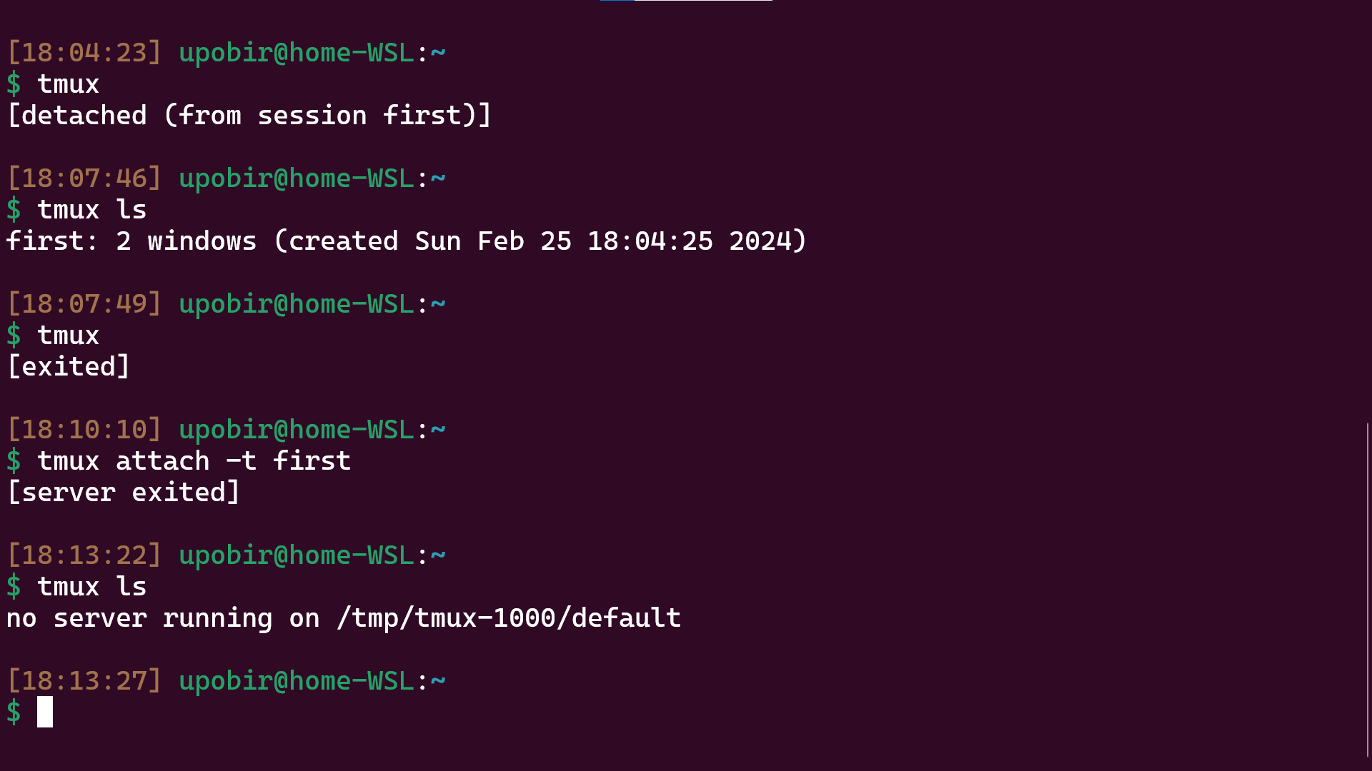 After killing the tmux server (zoomed)